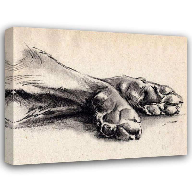 Art sur toile tendue à la galerie Jennifer Paxton par Parker, titre: Charcoal Paws II, H 28 po x l 34 po