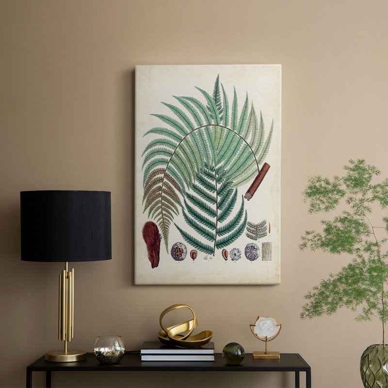 Collection de fougères I - galerie sur mesure, H 27 po x l 18 po