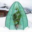 Kamuran 5 Ft W x 5 Ft D Mini Greenhouse-66003983