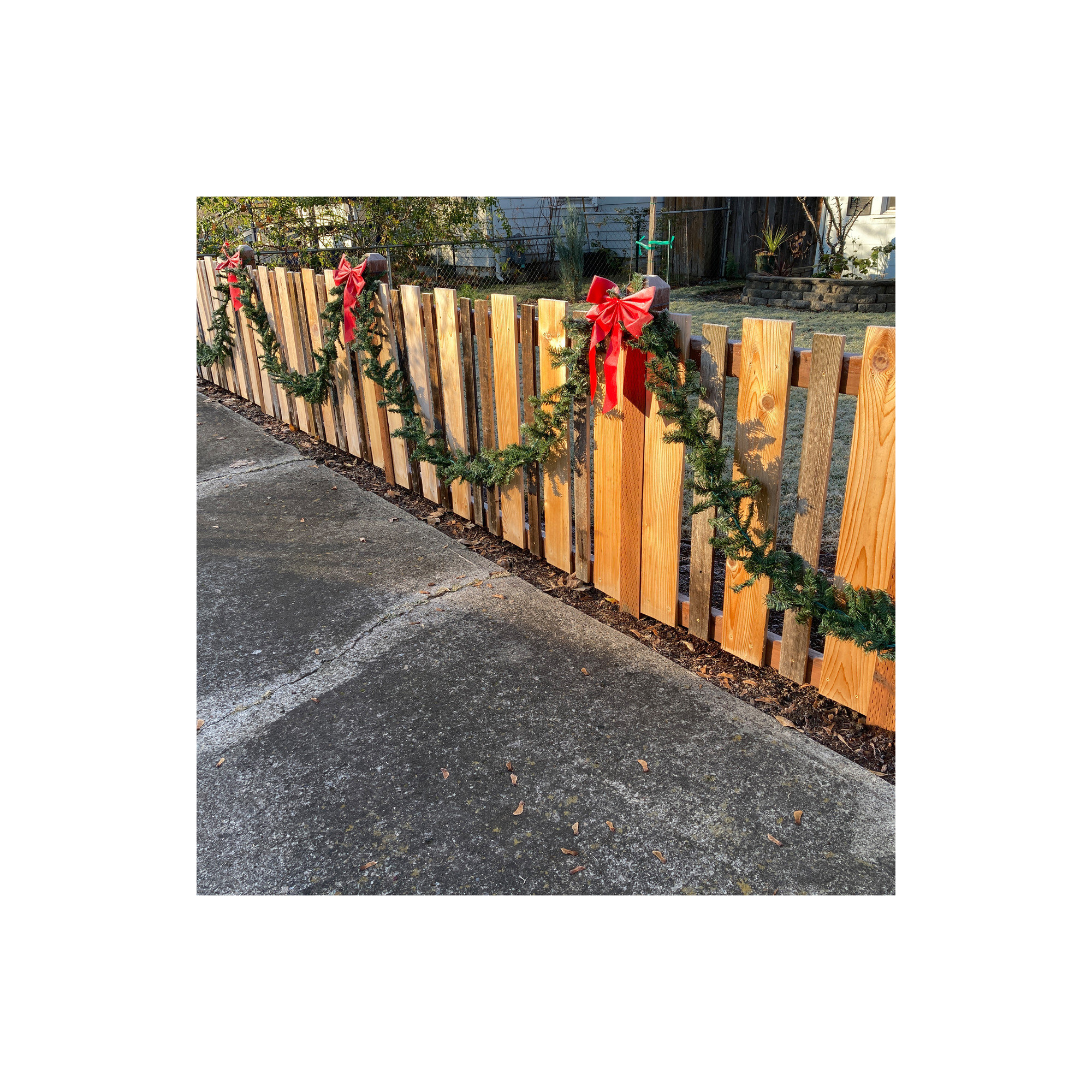 Canadian Pine Artificial Christmas Garland Unlit, 8'' H x 1200" L x 8'' D