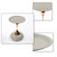 Table basse de style moderne avec piédestal en métal pour les petits espaces, salon-384137763
