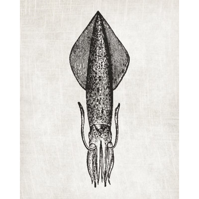 Squid Linen - Painting Print