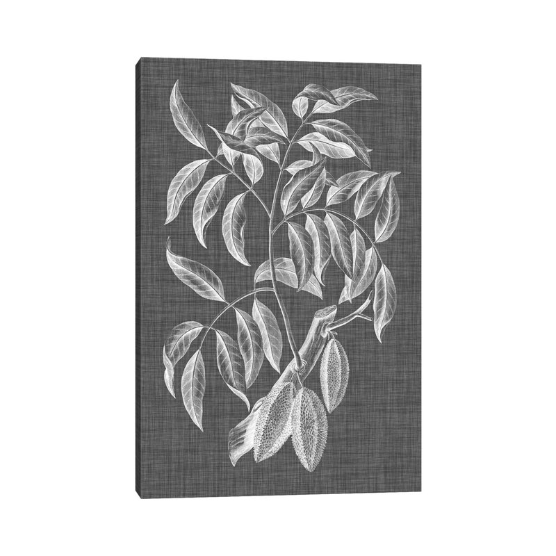 Graphic Foliage III - Wrapped Canvas Print, 101.6 cm H x 66.04 cm W x 1.91 cm D