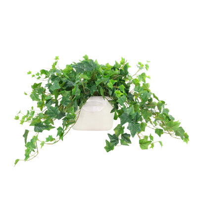 Ivy Bunches in a Ceramic Vase