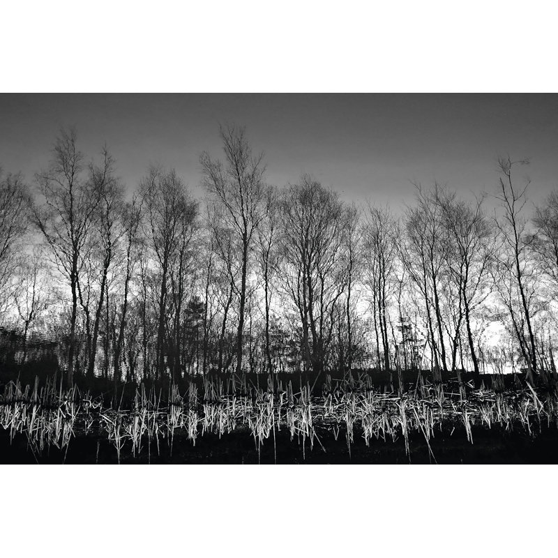 Watery Reflection - Wrapped Canvas Print, 30cm H x 46cm W x 3.8cm D
