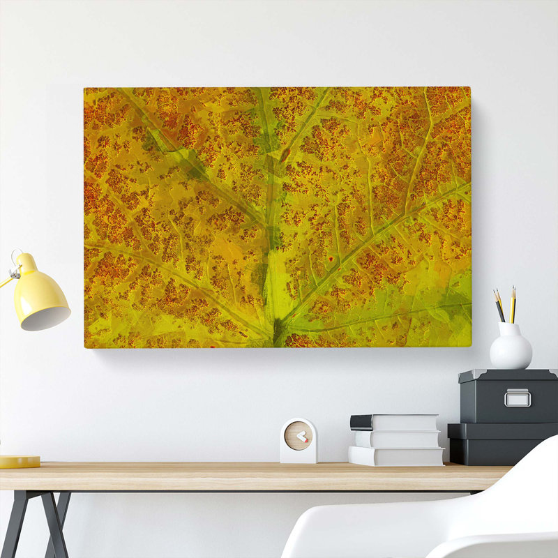 Veins Of The Leaf In Abstract - Wrapped Canvas, 50cm H x 76cm W x 3cm D