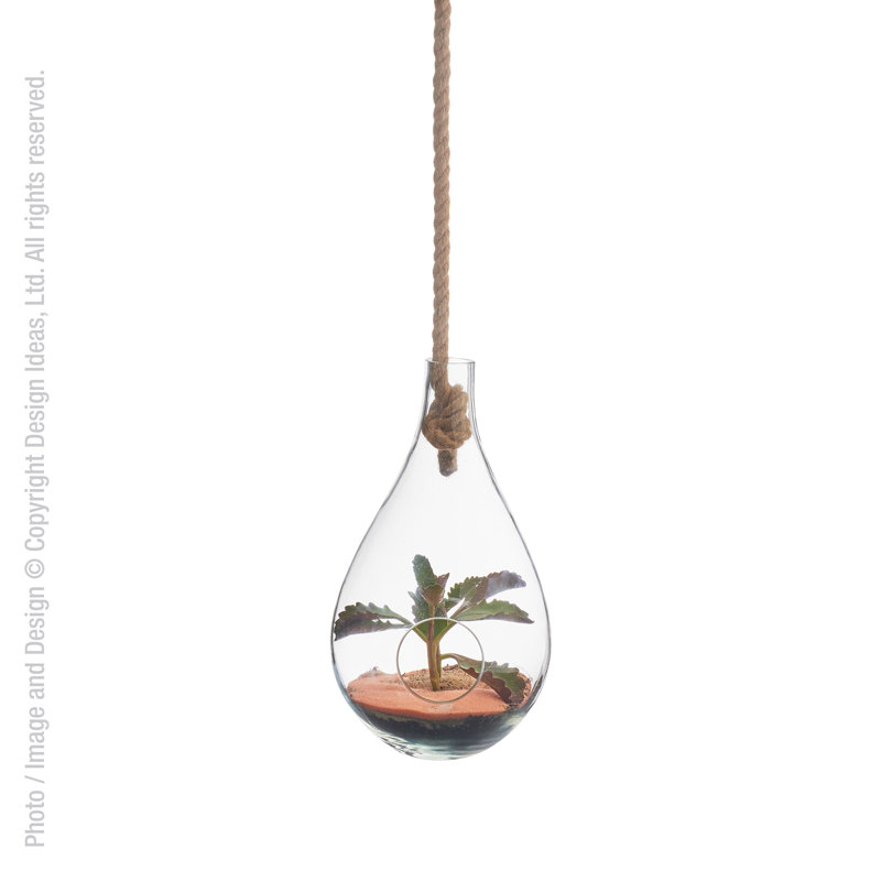 Terrarium en verre
