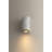 Belfast 3.25" 1-Light Marble Wall Sconce