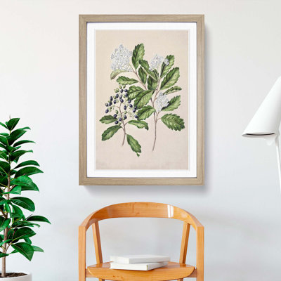 Kaikomako Flowers by Sarah Featon - Picture Frame Graphic Art Print