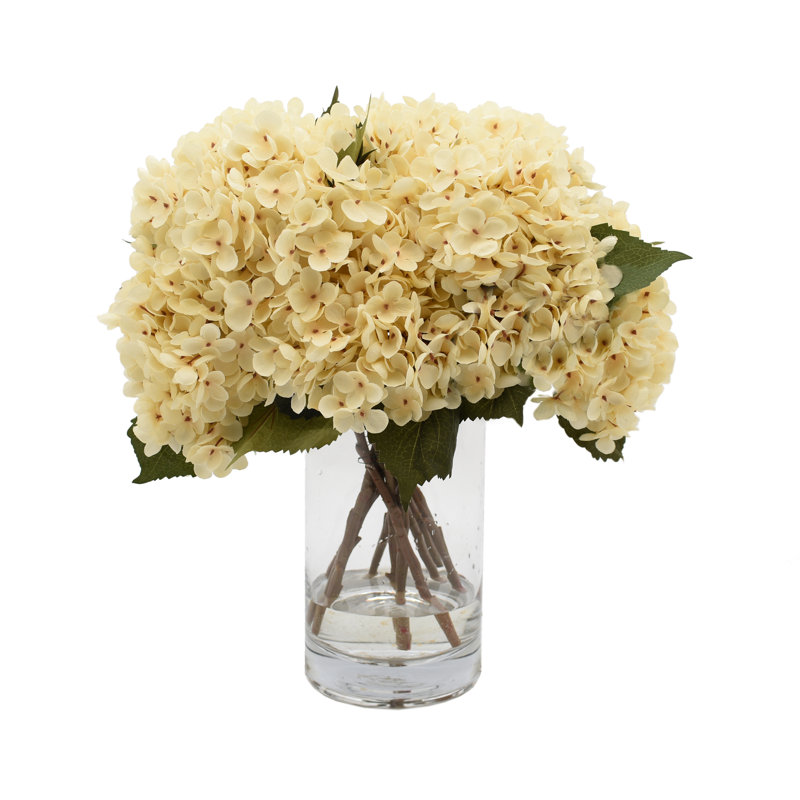 Arrangement floral d'hortensia, Crème
