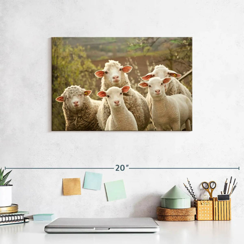 Stunned Sheep, 8" H x 12" W