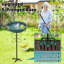 Birdbath-905264591