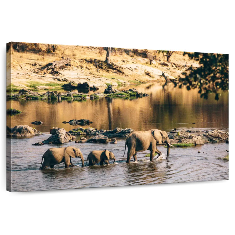 Brampt Tanzania Wildlife Elephants