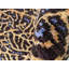 Abstract Area Rug