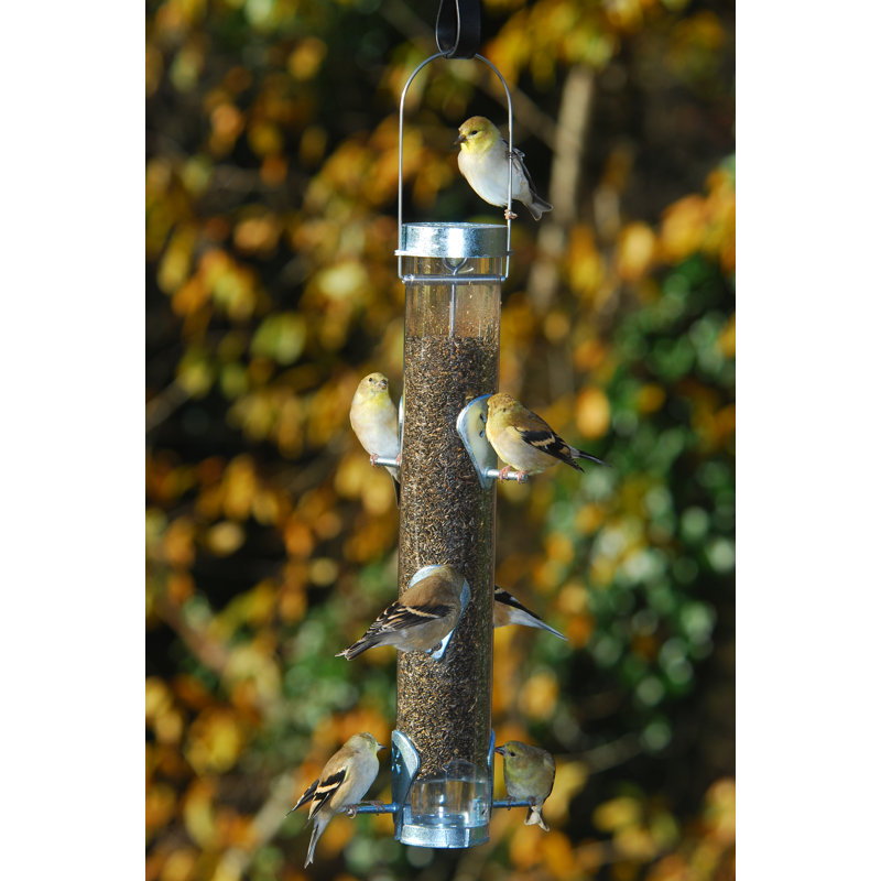Classic Tube Bird Feeder
