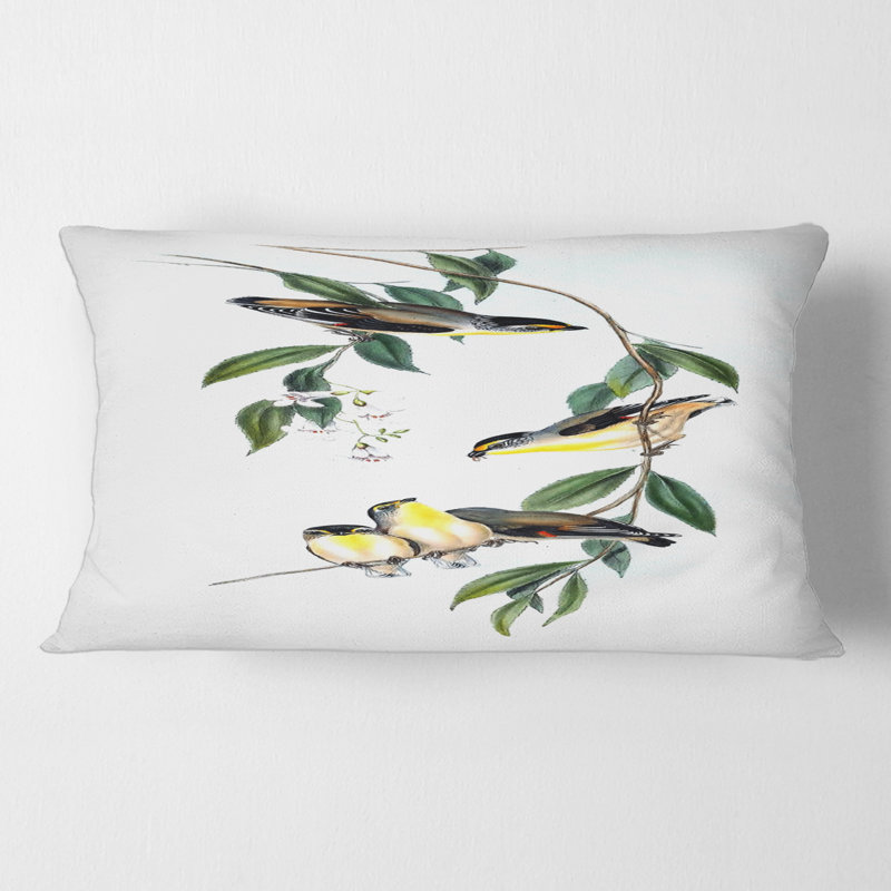 Oiseau rétro III - coussin traditionnel imprimé