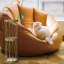 Porte-parapluies Barrett-1024344508