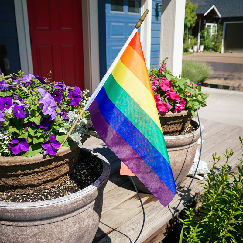 Drapeau imprimé à main arc-en-ciel, H 25 po x l 18 po