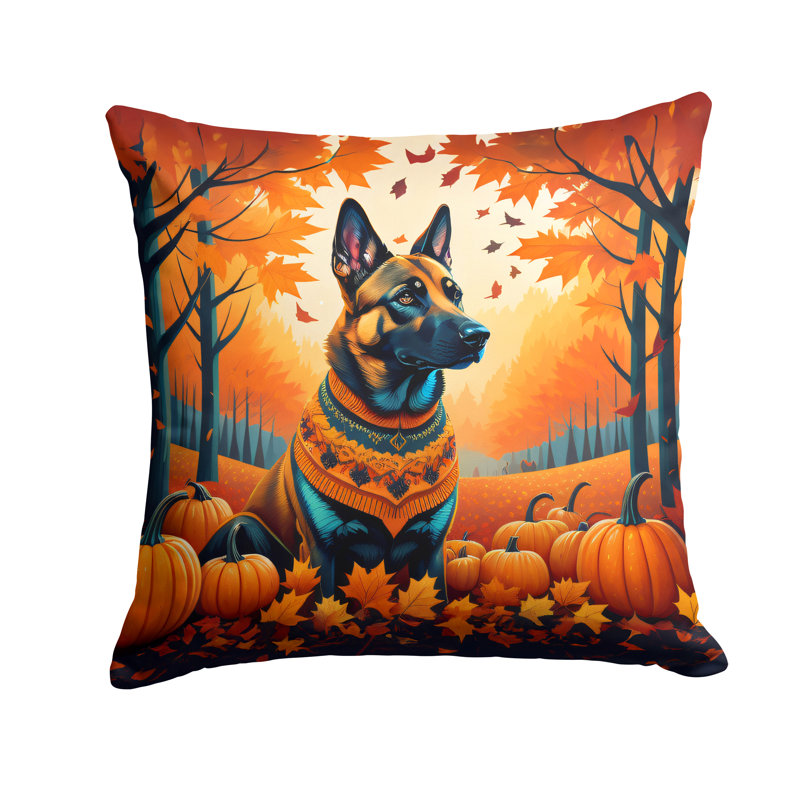 Other/No Pattern Outdoor Throw Pillow, Square 14"