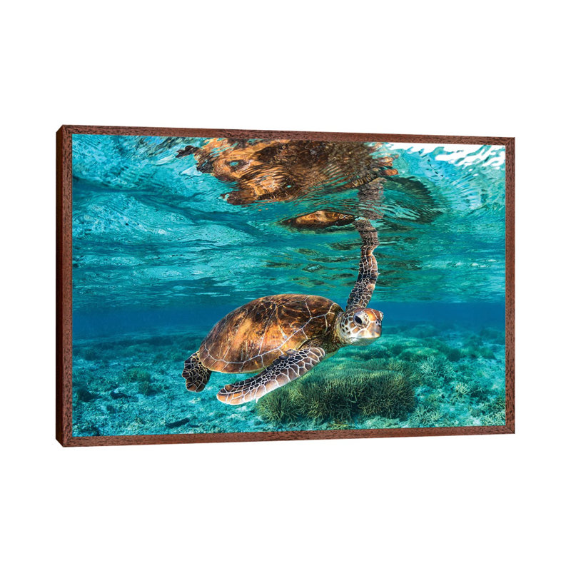 Hey You by Jordan Robins - Print on Canvas, 66.04 cm H x 45.72 cm W, Brown Framed