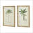 S/2 Tree Framed Print