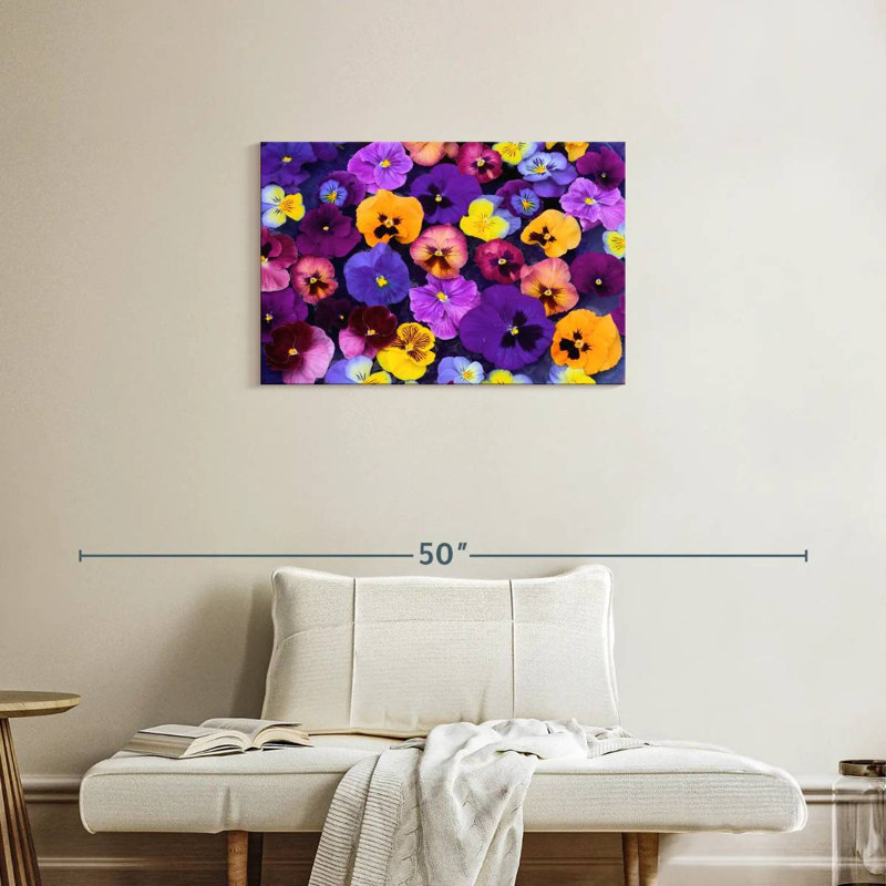 Harnek Pansy Colors, 20'' H x 30'' W