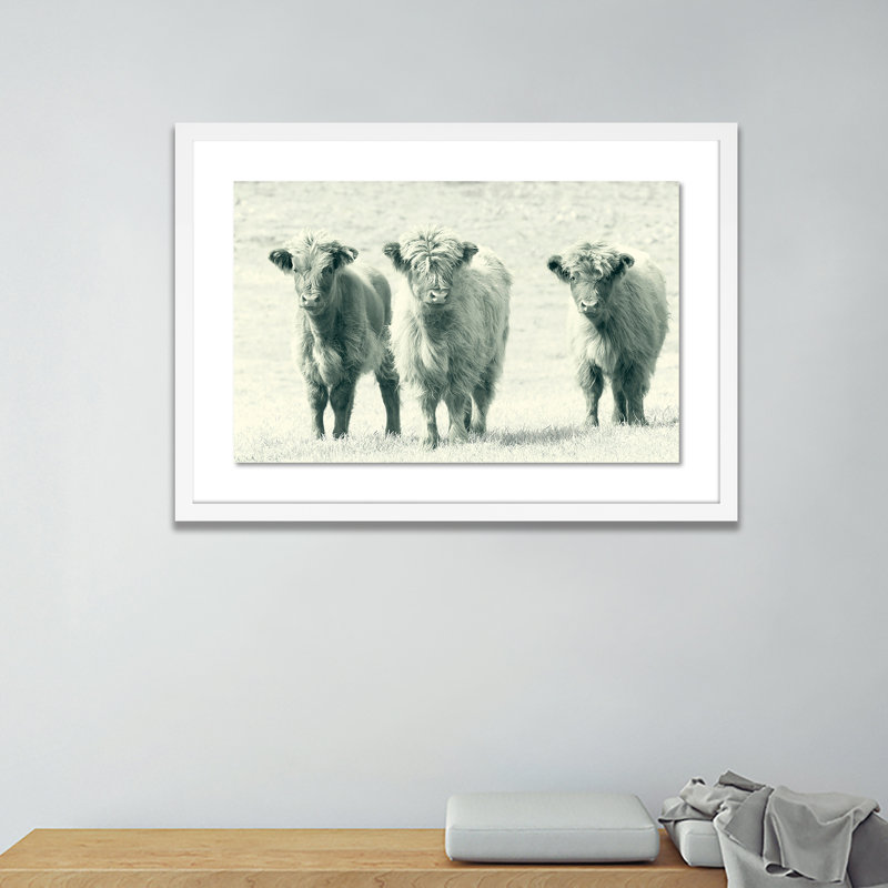 Cows Print by Pernille Westh, White, 28" H x 40" W x 2.5" D