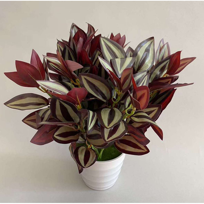 POT ZEBRINA VIOLETTE