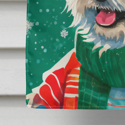 Polyester double face Noël