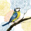 « mandala oiseau i », impression sur toile-29283511-74728703-74728708