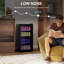 HOMCOM Mini Fridge