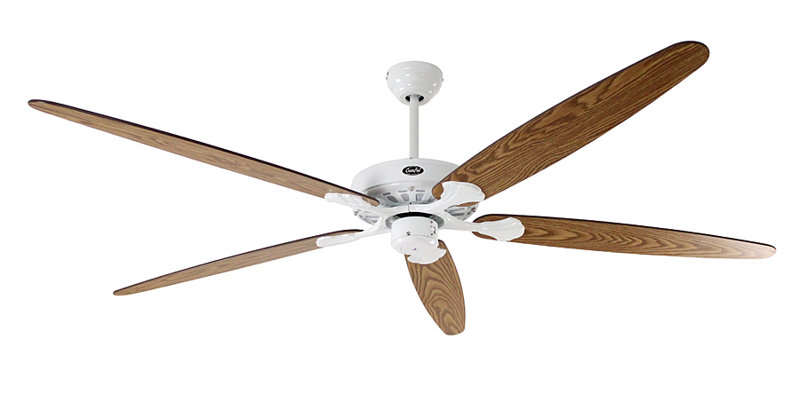 Boutwell 180cm Ceiling Fan, Lacquered White with Antique Oak and Walnut Blades