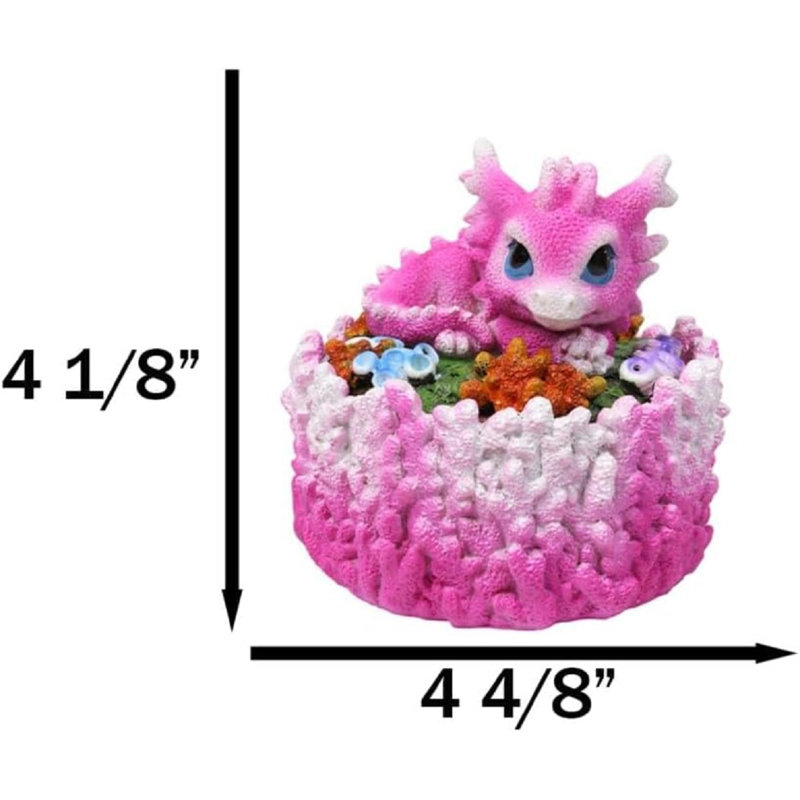 Mignon dragon hachuré dormant sur une boîte décorative de récif de corail