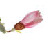 Polyethylene (PE) Magnolia Arrangement-2112031550