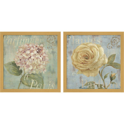 Vintage Fragrance A By Daphne Brissonnet Framed Art Set Of 2