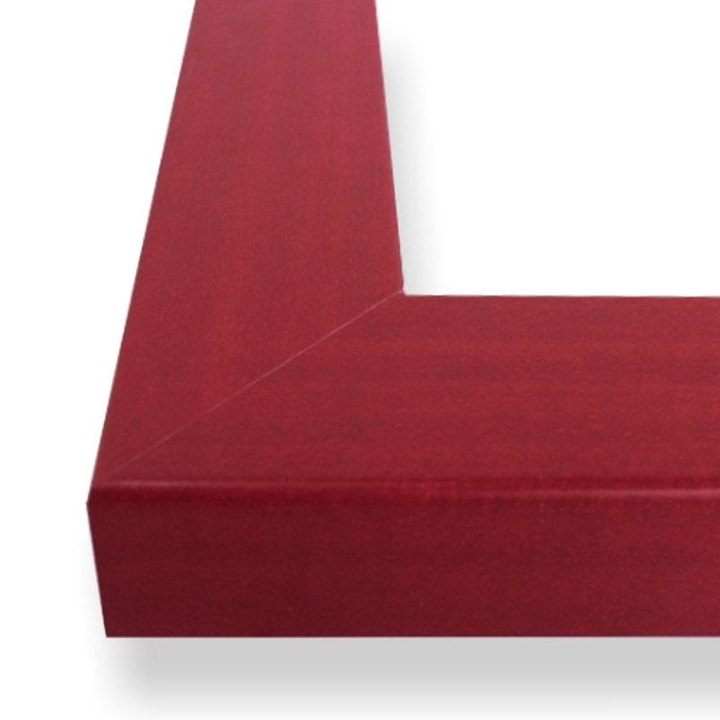 Cadre photo simple Belli mat, L 18 po x H 24 po, Rouge