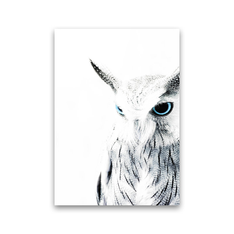 Owl I by Victoria Frost - Print, Unframed, 59cm H x 42cm W x 1cm D