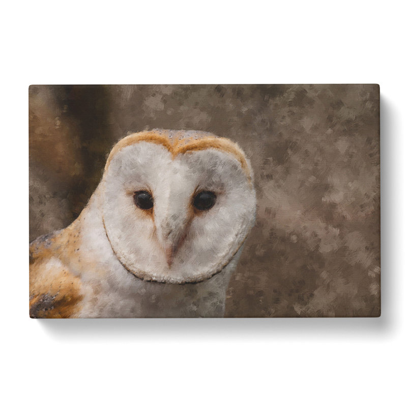 Barn Owl Vol.1 - Wrapped Canvas, 50cm H x 76cm W x 3cm D