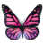 Pink/Black selected