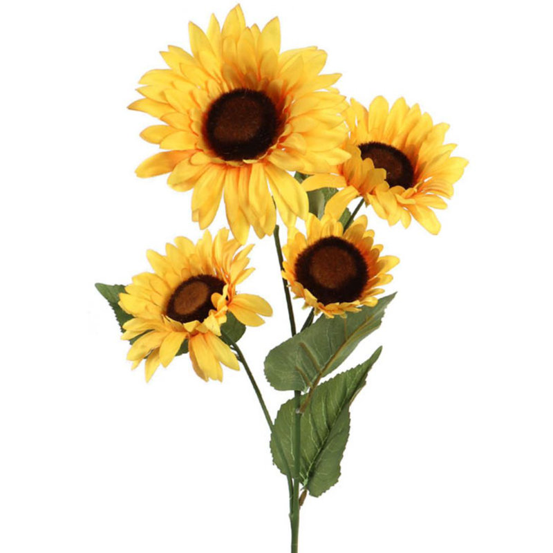 Roth tournesol