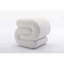 017S-S-Shape Teddy