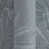 Feuilles bleu-gris