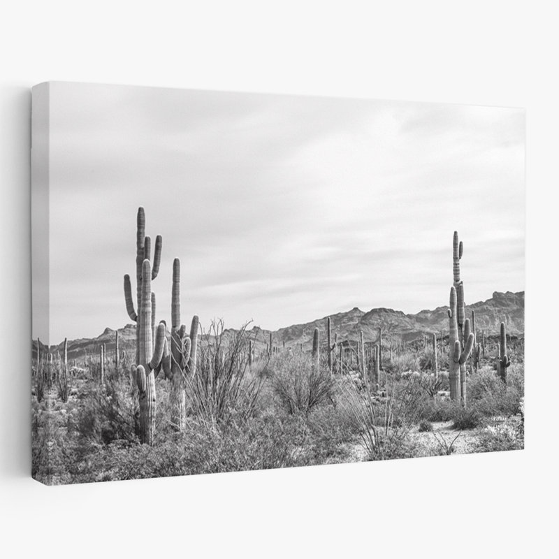 Jardin Sonoran Wonderland BW, H 24 po x l 16 po