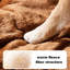 Niche pour chien Winter Winter-1700991787-1700991785
