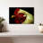 Brampt Chicken Head-108871794