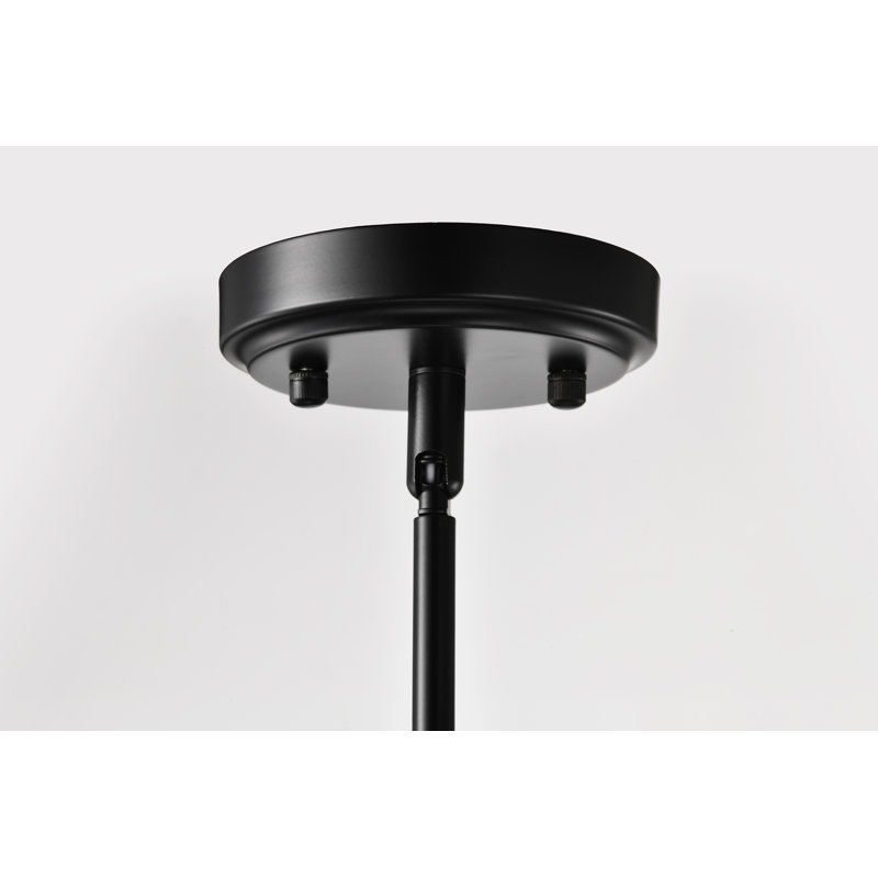 Luminaire suspendu à 1 lumière Raith, Noir mat