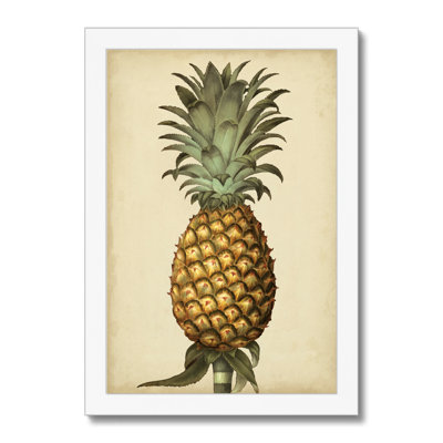 Brookshaw Antique Pineapple I 1 Piece Painting