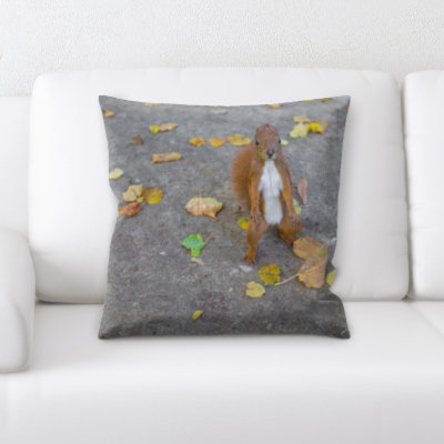 Microsuede Throw Pillow