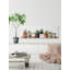 Impression encadrée « indoor succulents »-50107286