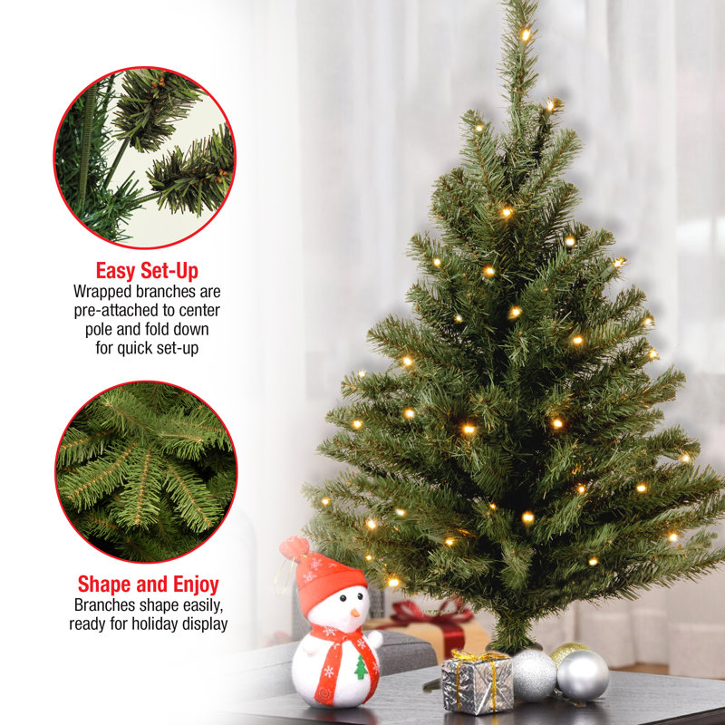 The Holiday Aisle® 3ft. Kincaid Spruce Tree with Clear Lights